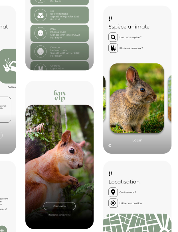 Extrait des interfaces UI et UX de l'application Fonelp